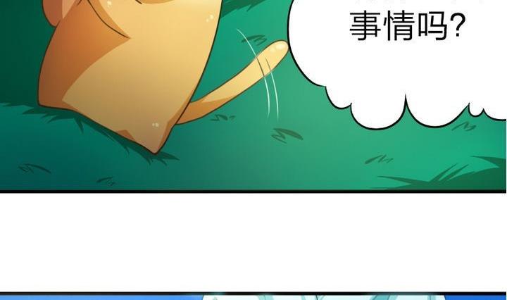 第49话 论特征的重要性-第49话