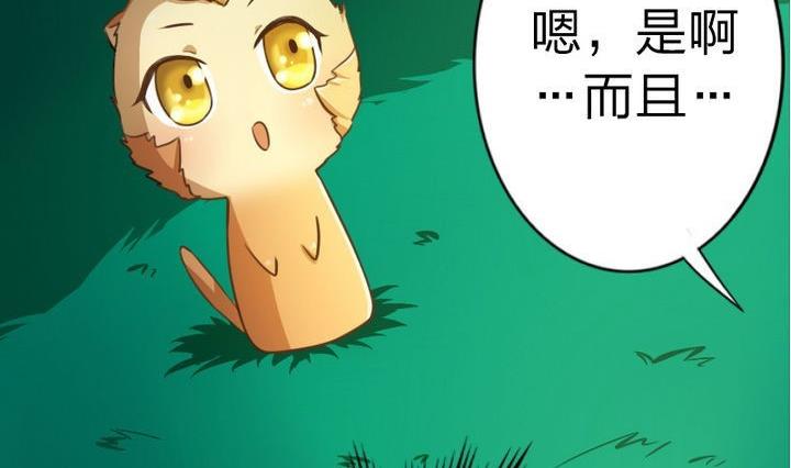 第49话 论特征的重要性-第49话