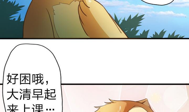 第49话 论特征的重要性-第49话