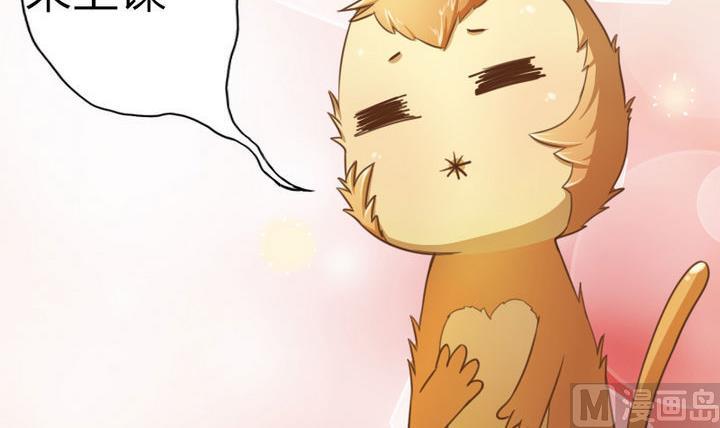 第49话 论特征的重要性-第49话