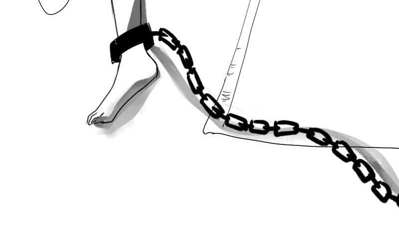 番外(1/2)-第81话