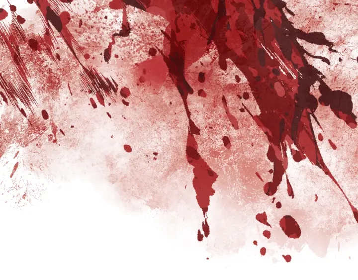 顫抖吧！原著女主 - 第64話 面對面交談(2/5) - 2