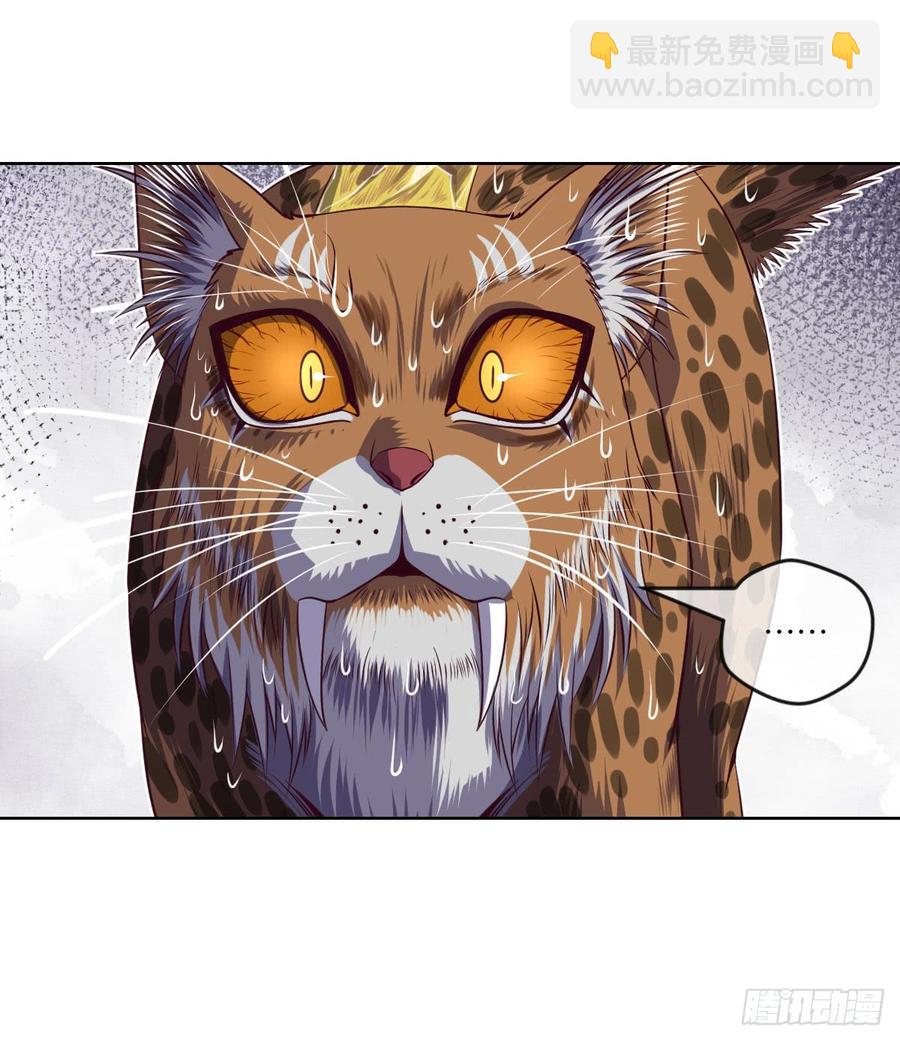 大猫咪~来玩撒!-第59话