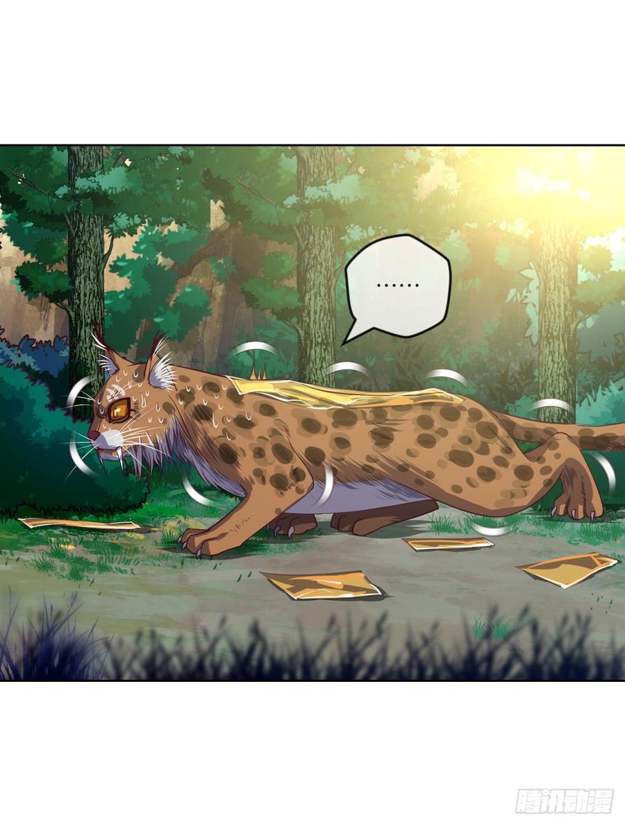 大猫咪~来玩撒!-第59话