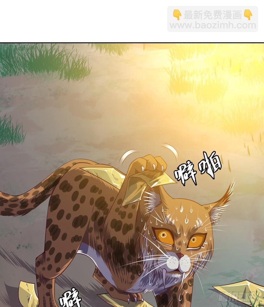 大猫咪~来玩撒!-第59话