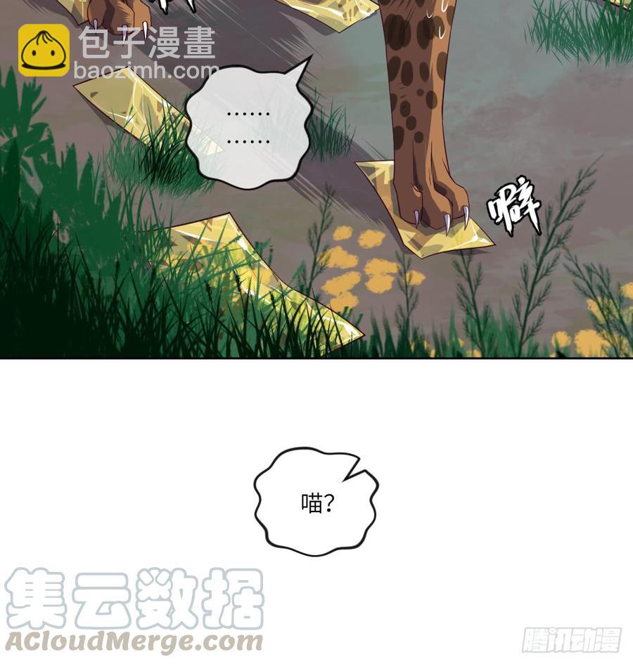 大猫咪~来玩撒!-第59话