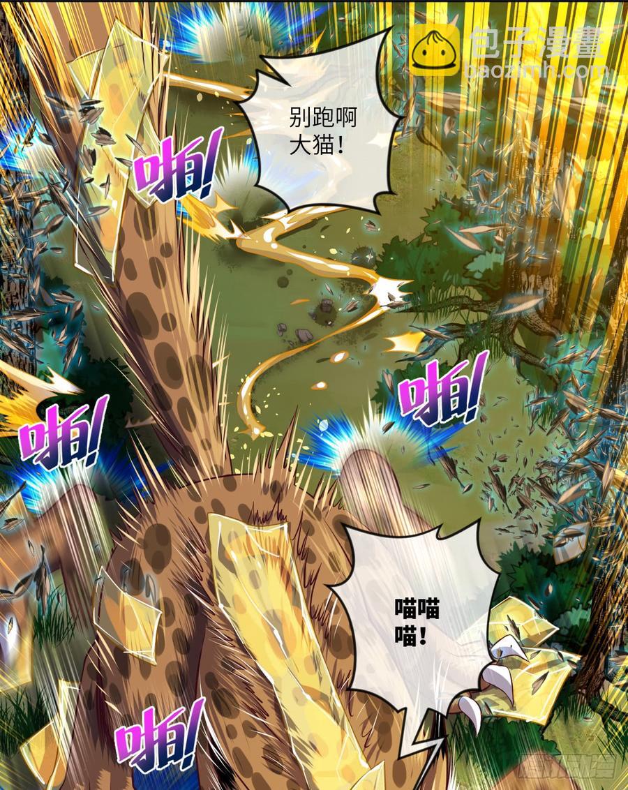 大猫咪~来玩撒!-第59话