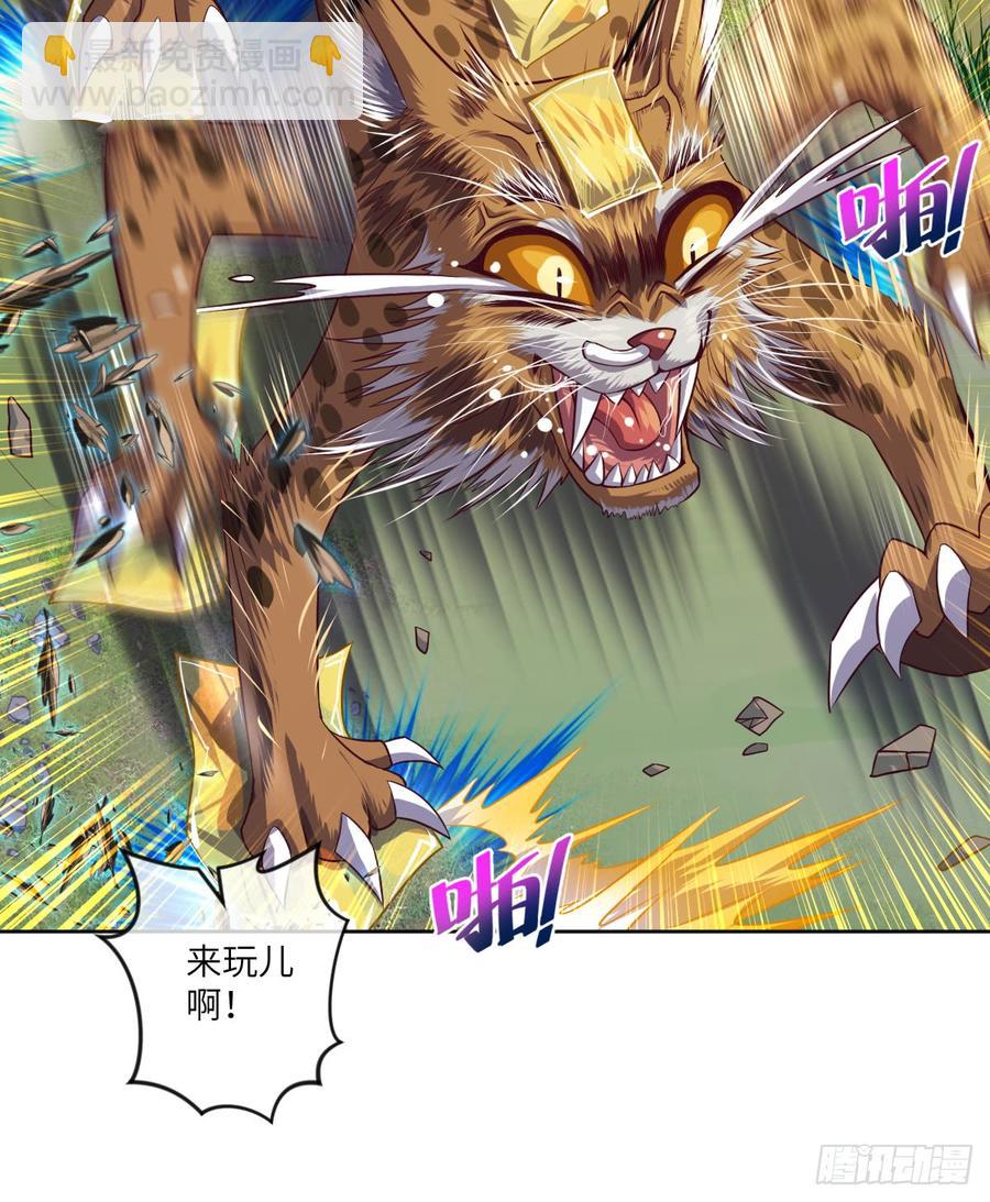 大猫咪~来玩撒!-第59话