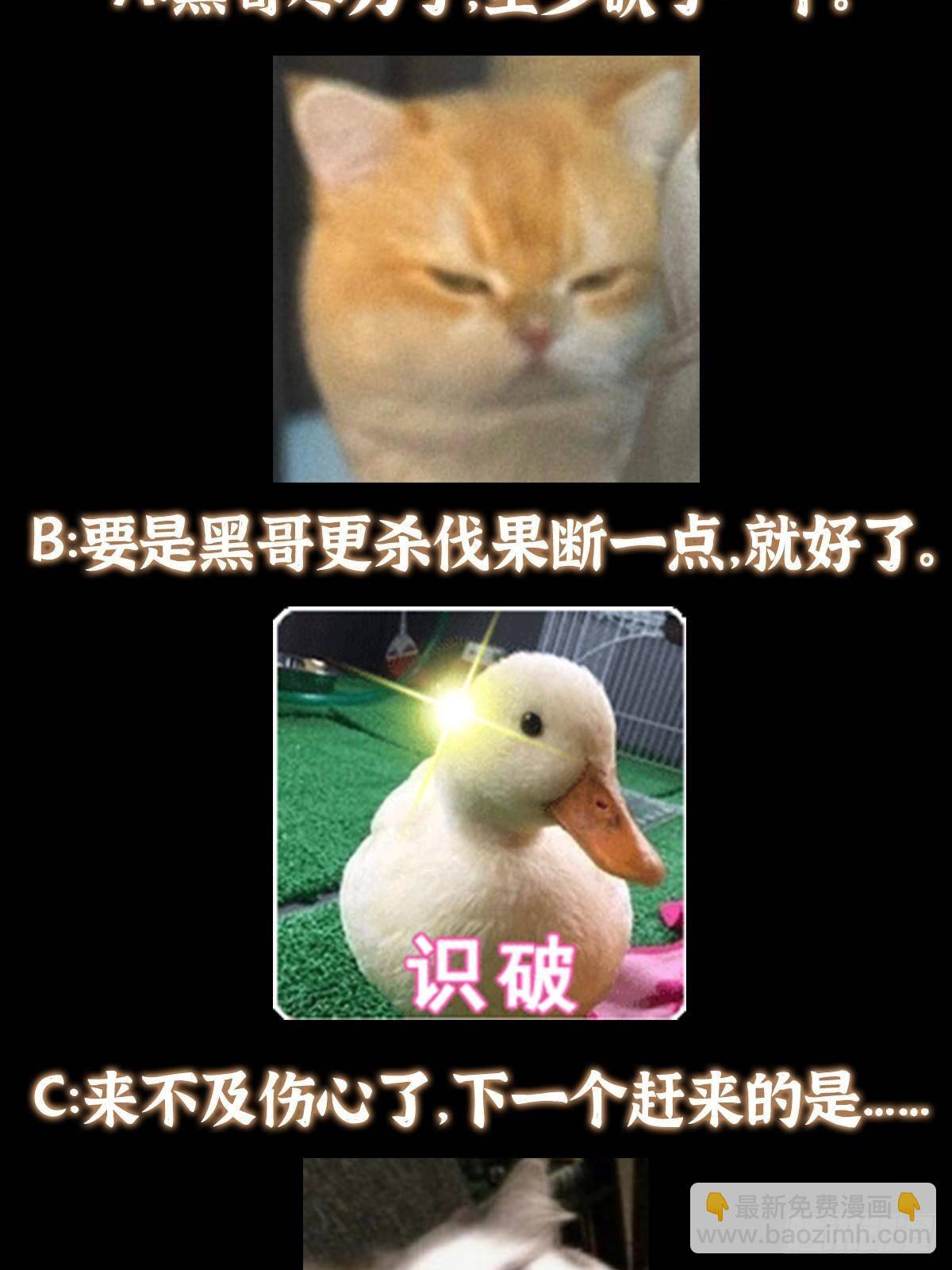 86.jpg
