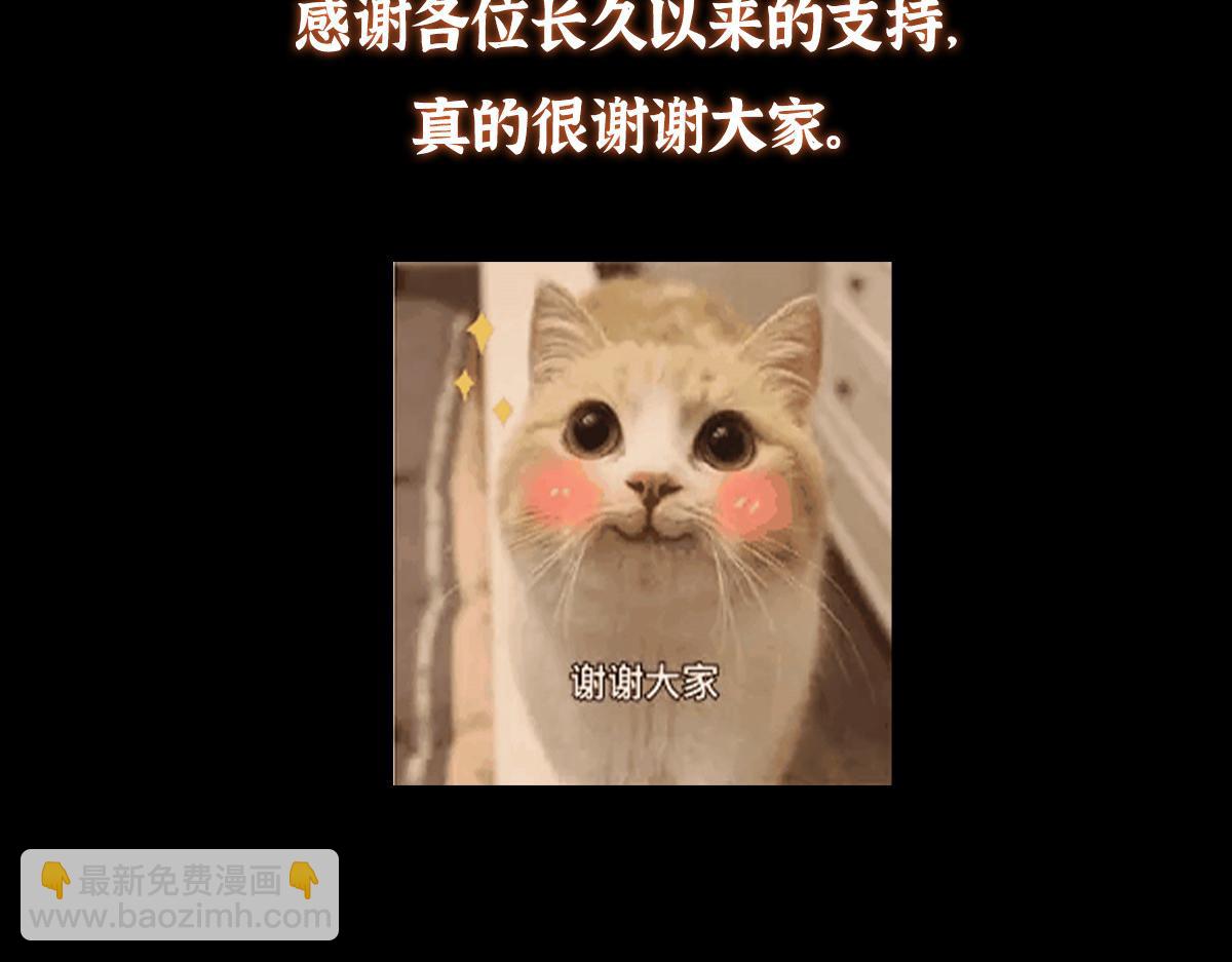 221.jpg