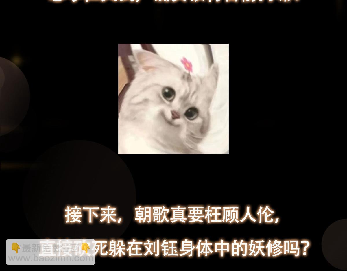 243.jpg