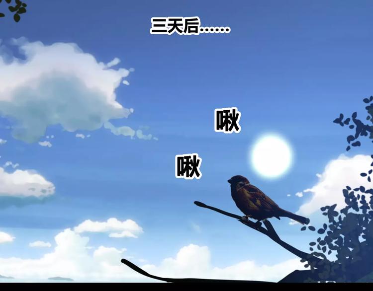 第39话  悬祭的计划(1/2)-第41话