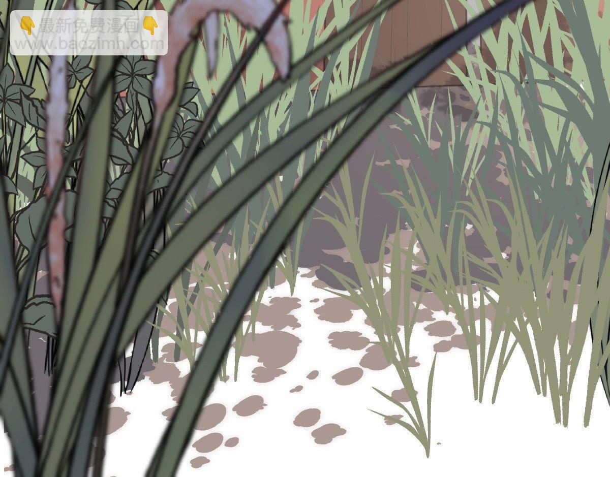 戰神狂妃：鳳傾天下 - 51 第50話 意在毀容(2/2) - 1