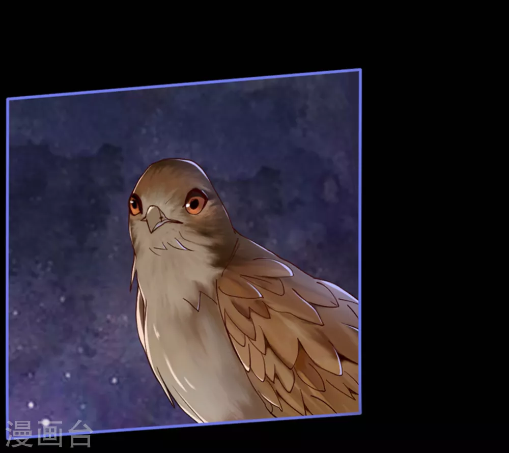 第5话(1/2)-第5话