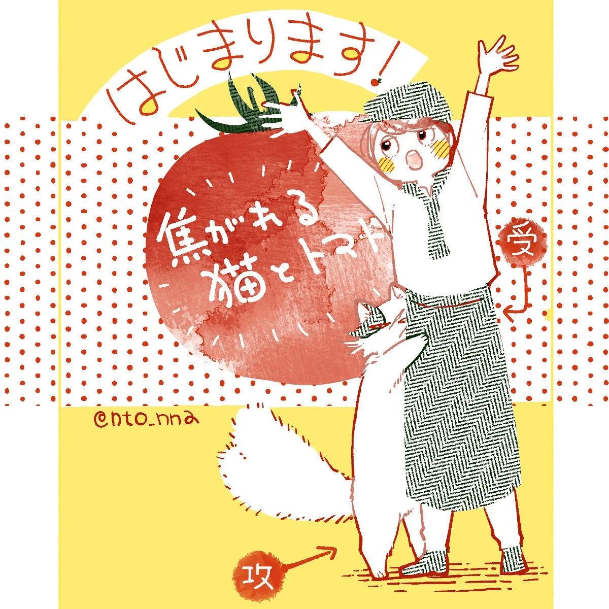 朝思暮想的貓與番茄 - 第01話 - 1