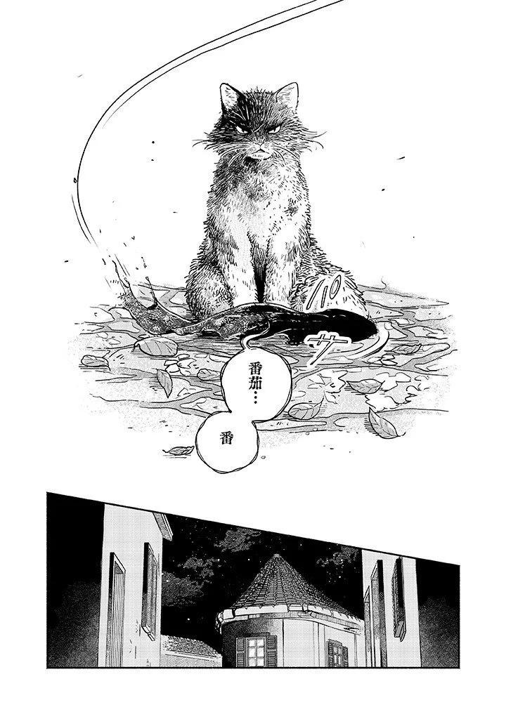 朝思暮想的貓與番茄 - 第01話 - 1