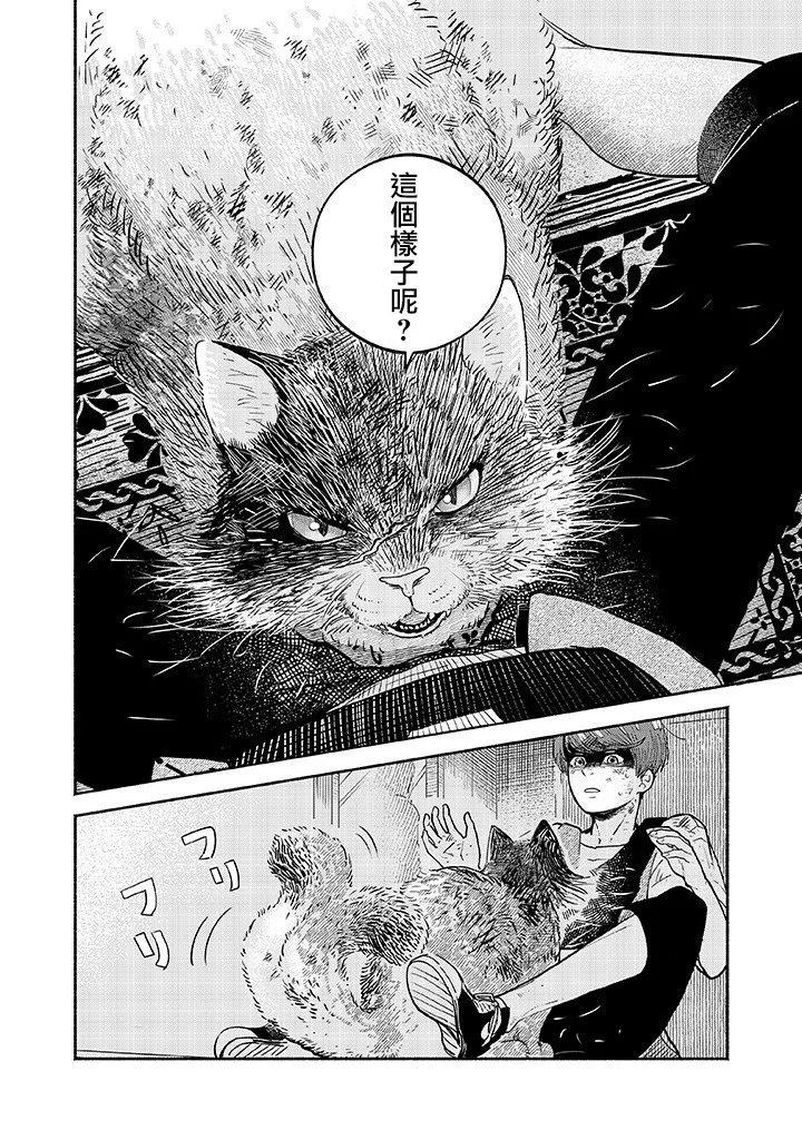 朝思暮想的貓與番茄 - 第01話 - 1