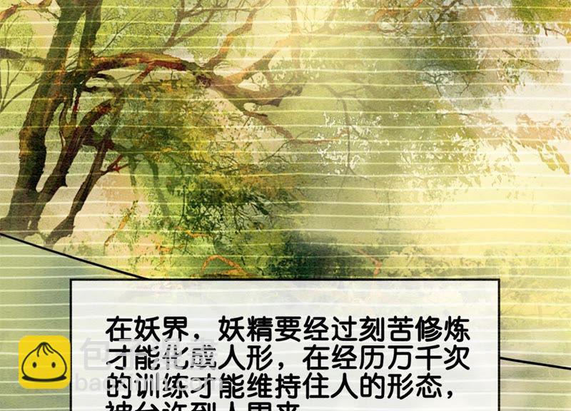 第18话 草木之约(1/3)-第19话