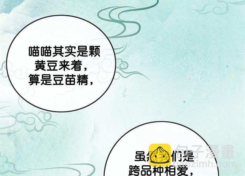 第22话 陈苗的夫人(1/3)-第23话