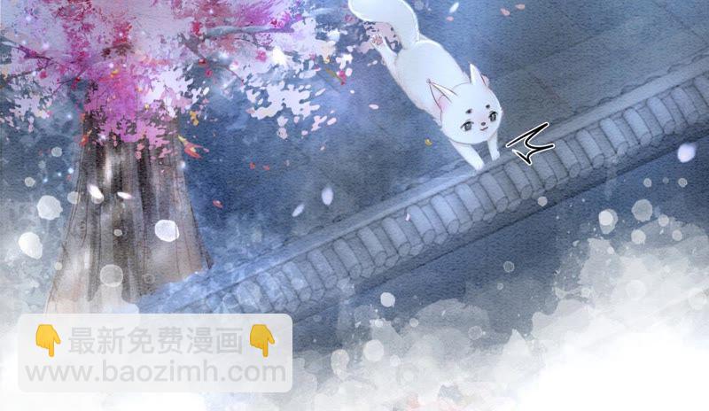 第6话 猫是鱼的天敌(1/4)-第7话