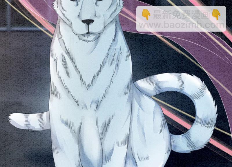 第66话 这是骗婚啊(1/3)-第67话