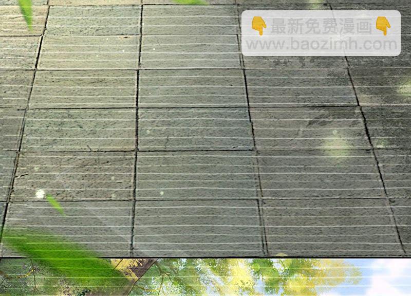 第78话 危难时刻的相遇(1/3)-第79话