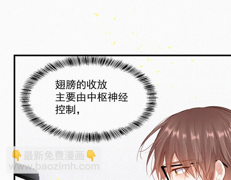 第4话 记录首次飞行(1/2)-第5话