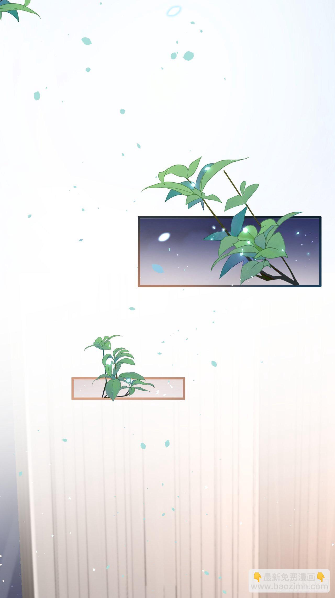 第72话 小望生日快乐-第73话