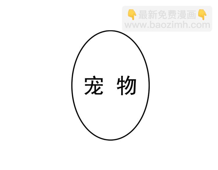 第12话 这家伙是我的宠物(1/2)-第13话