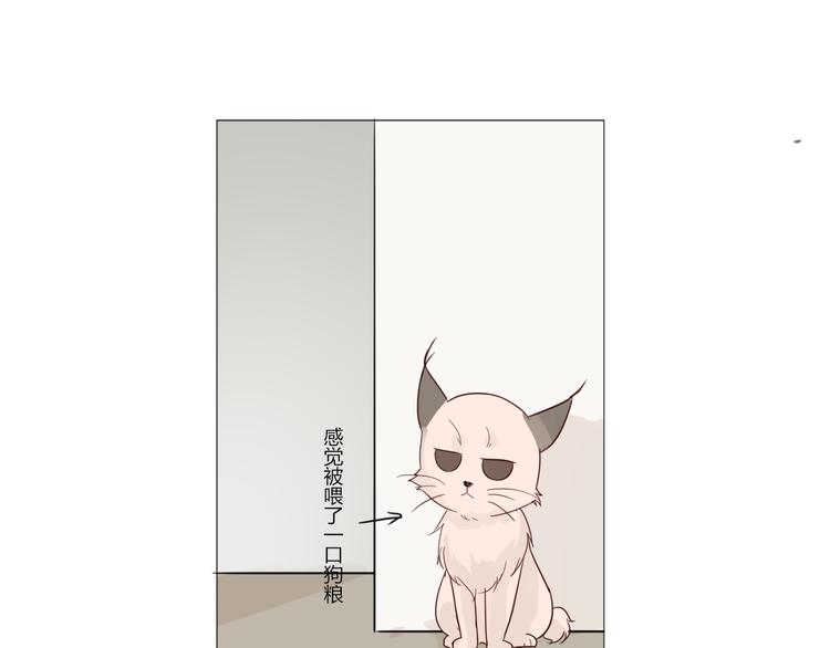 第27话 男朋友(1/2)-第29话