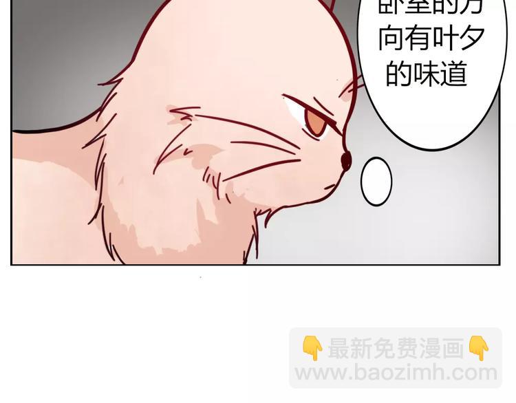 第36话 我不会丢下你(1/2)-第39话