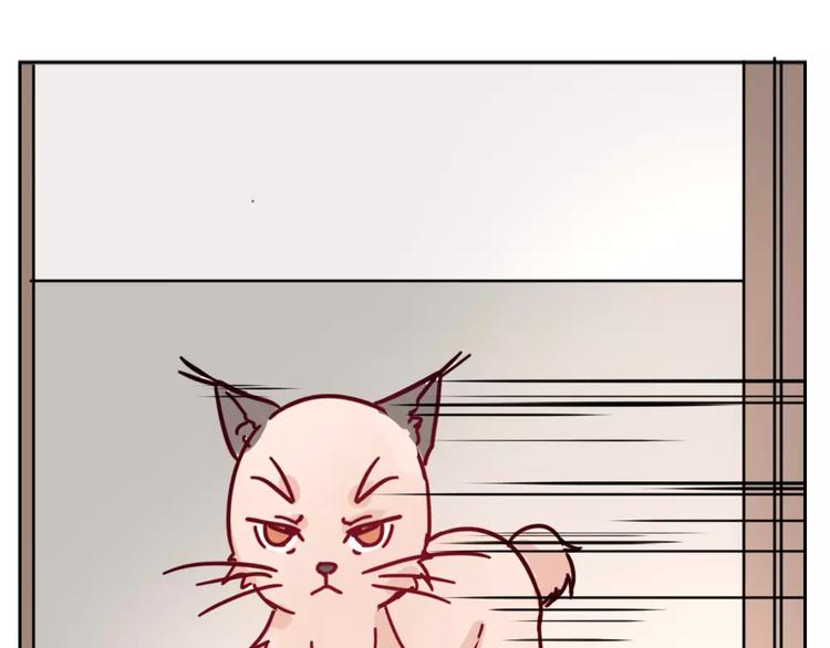 第36话 我不会丢下你(1/2)-第39话