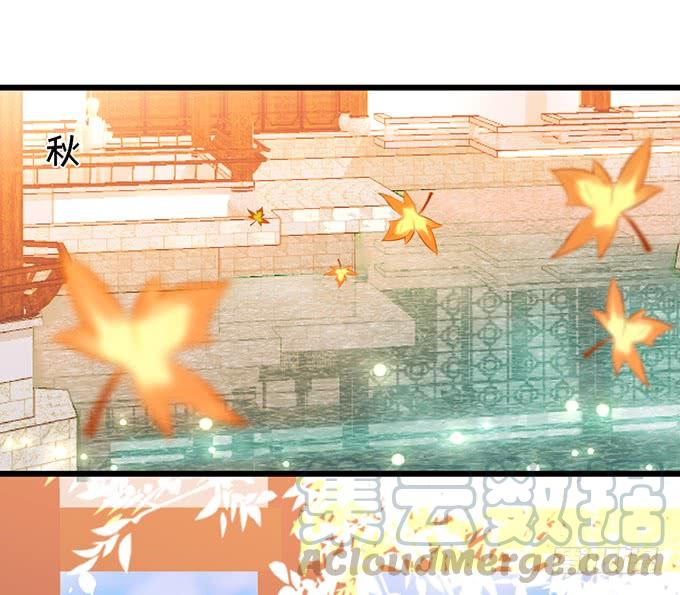 這個狐仙有點兇 - 若我大勝，娶你可好？(2/2) - 1