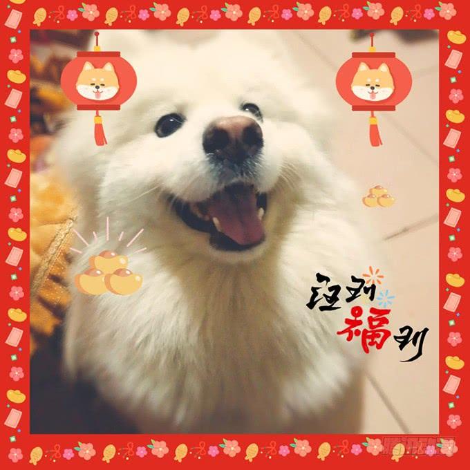 這個狐仙有點兇 - 爲了她，我甘願如此！(2/2) - 3