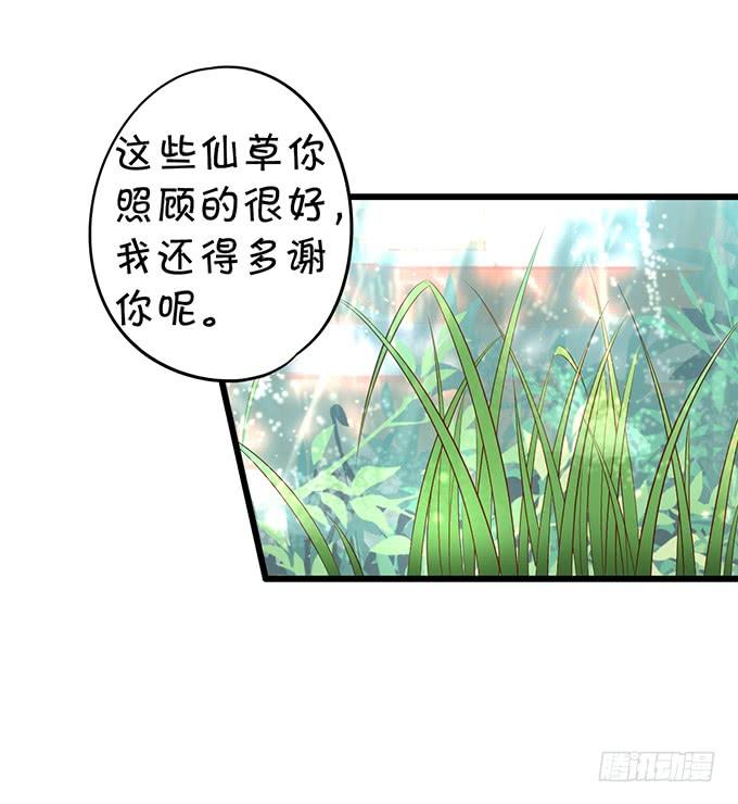 這個狐仙有點兇 - 花前月下，接吻最爲合適~ - 4