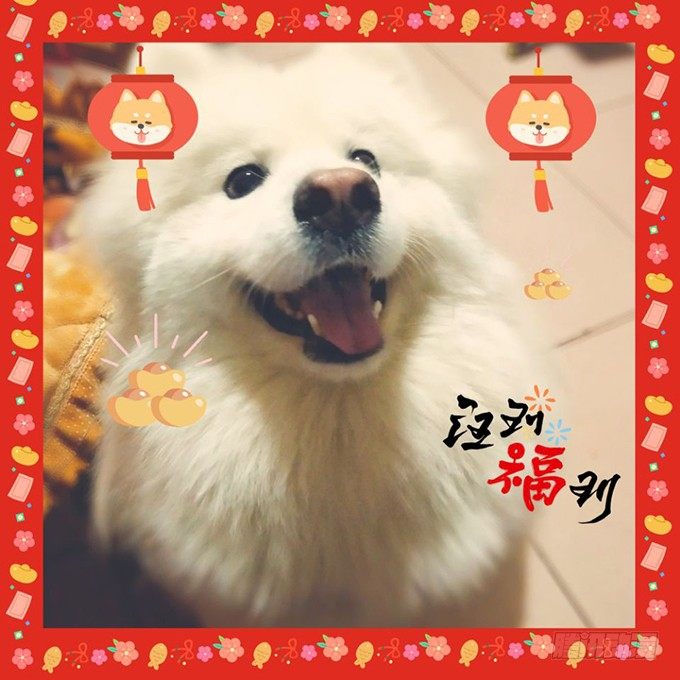 這個狐仙有點兇 - 完結篇：時光不老，我們不散！ - 5