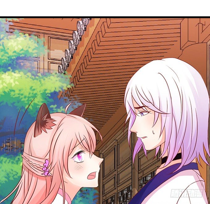 這個狐仙有點兇 - 你你！你怎麼?!(1/2) - 2