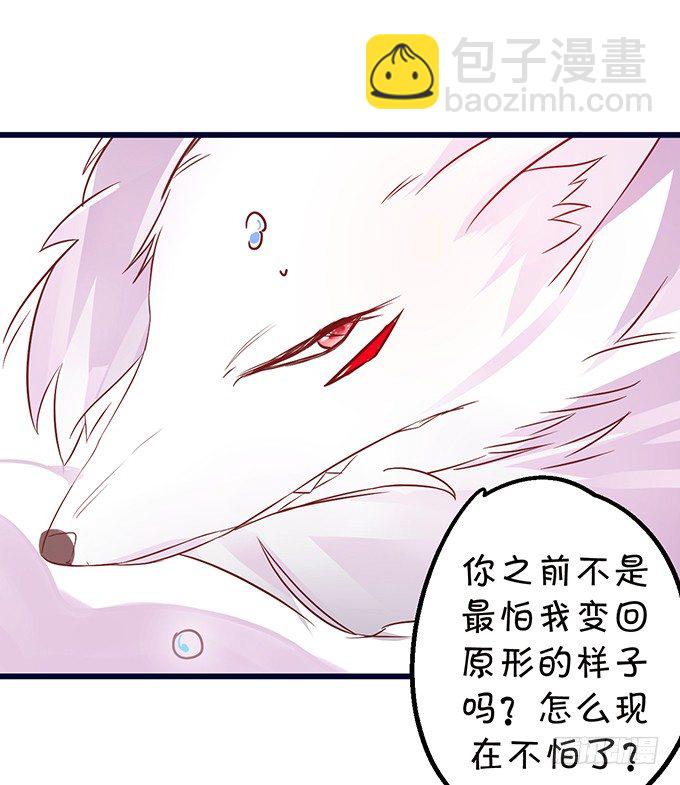 這個狐仙有點兇 - 你你！你怎麼?!(1/2) - 8