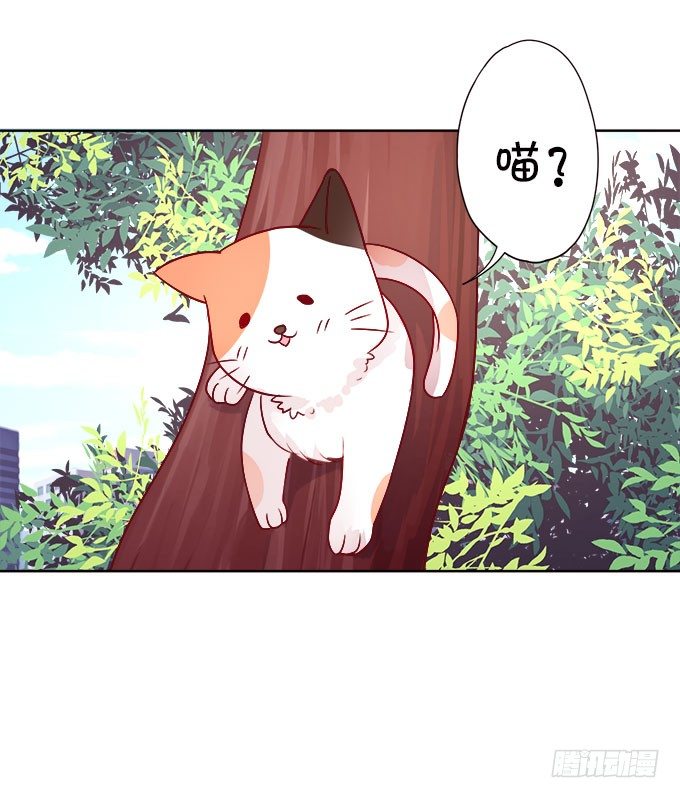 這個狐仙有點兇 - 情敵還是朋友？(1/2) - 5