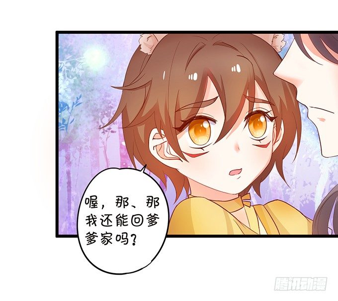 這個狐仙有點兇 - 小狐狸出走了(2/2) - 3