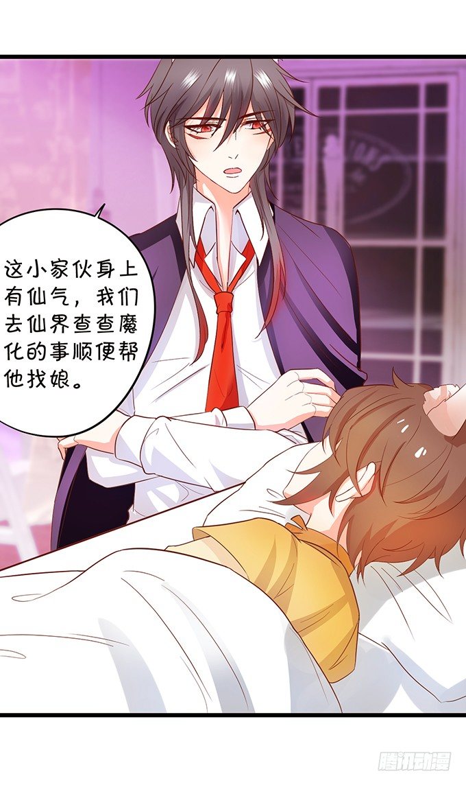 這個狐仙有點兇 - 小狐狸出走了(2/2) - 3