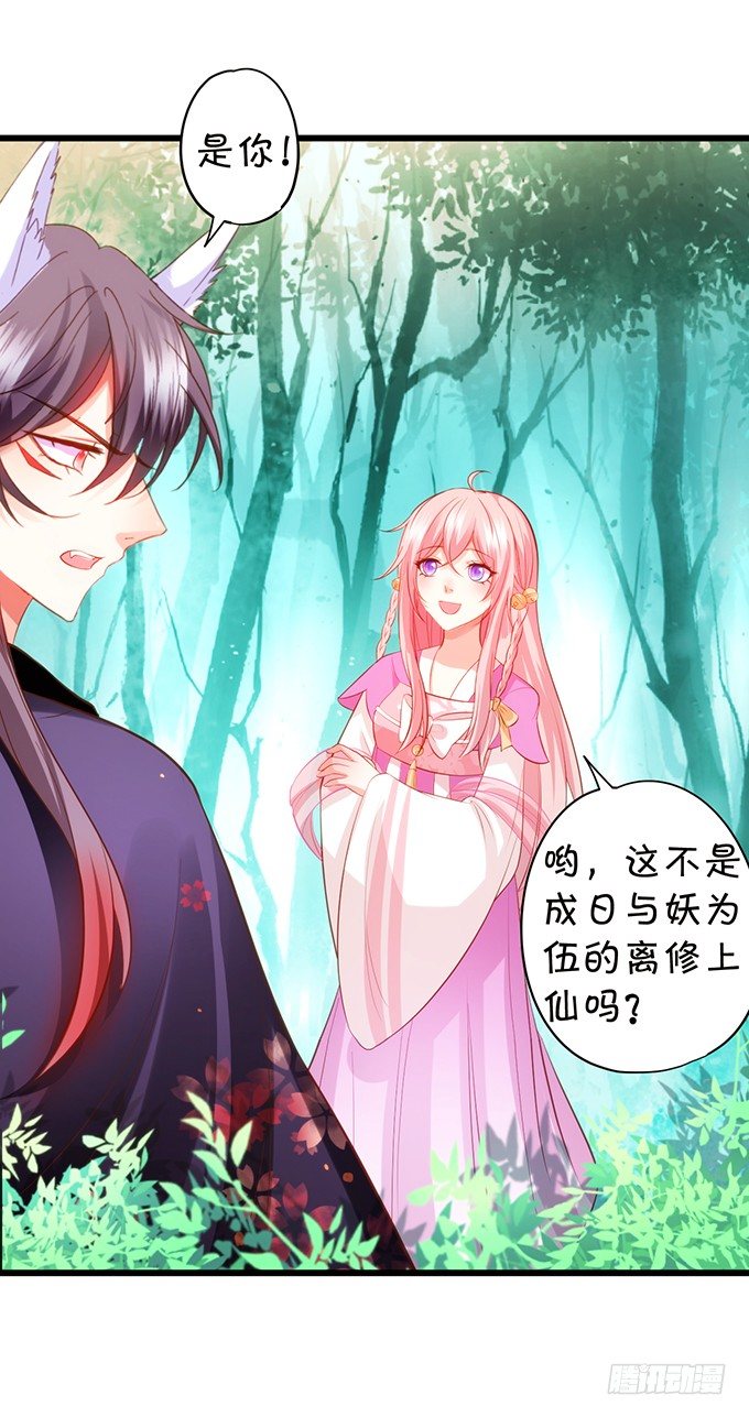 這個狐仙有點兇 - 前世小七吊打離修！(1/2) - 4