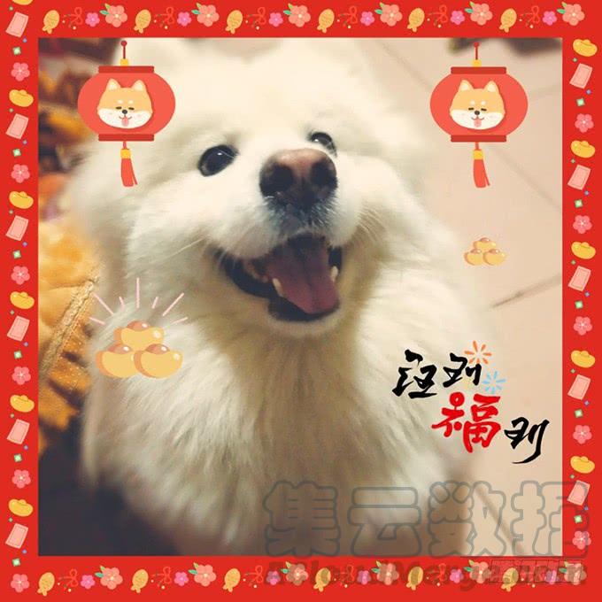 這個狐仙有點兇 - 子塵終於死了！(3/3) - 2