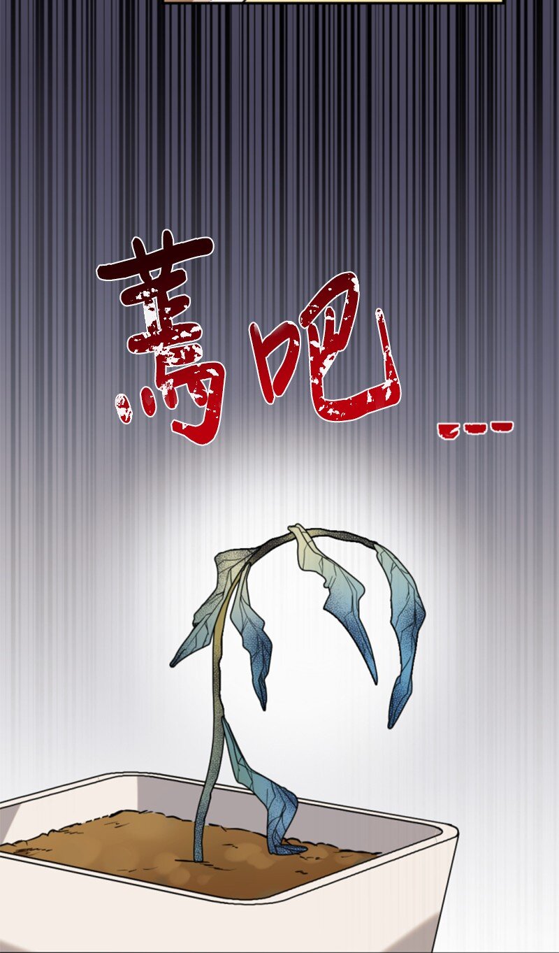 97 暗杀(1/2)-第95话