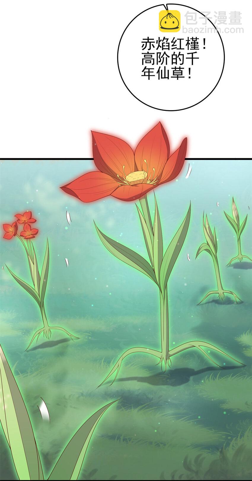 051 赤焰红槿-第53话