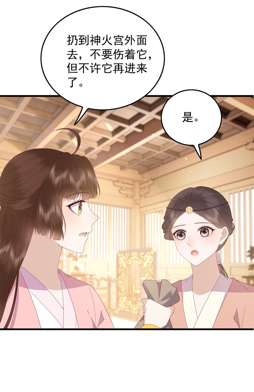 095 不要跟蝙蝠做朋友-第97话