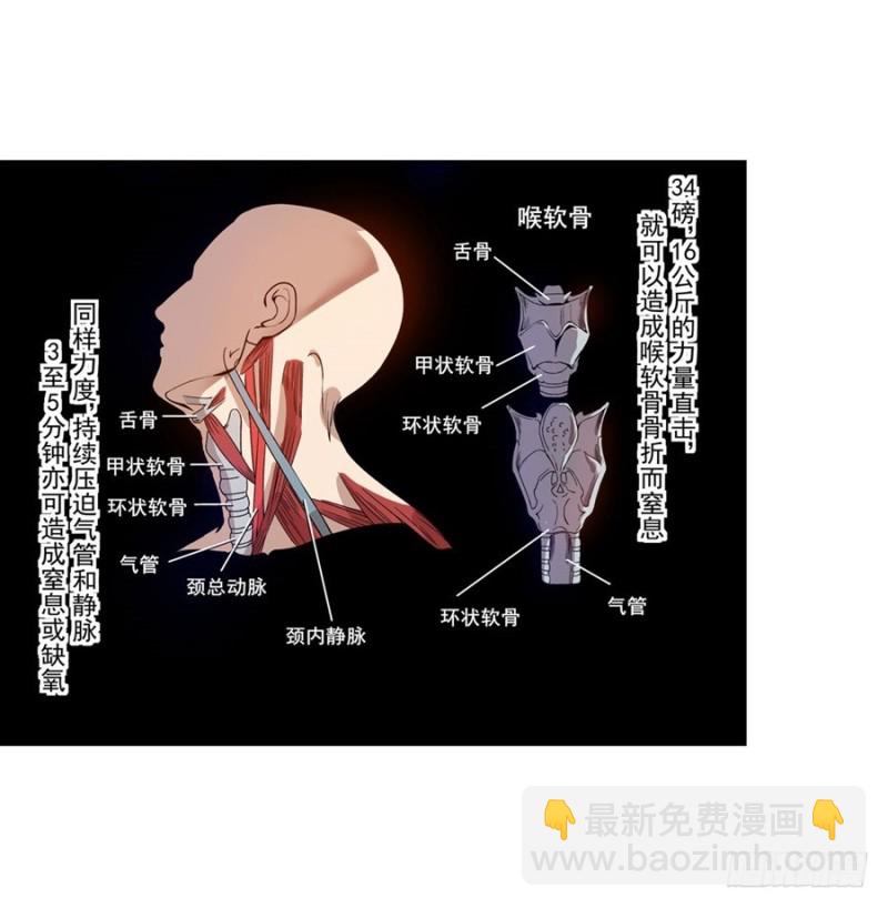 第七十五话(1/2)-第75话