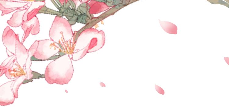 第1话 接到个任务(1/3)-第1话