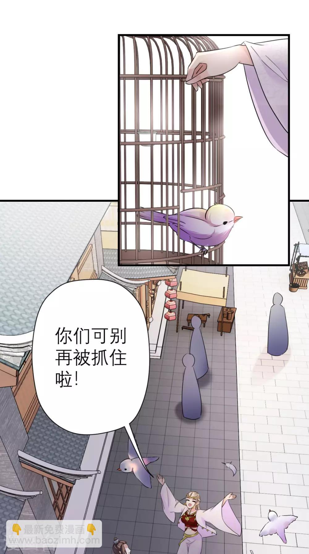 第38话 宫外再会-第39话