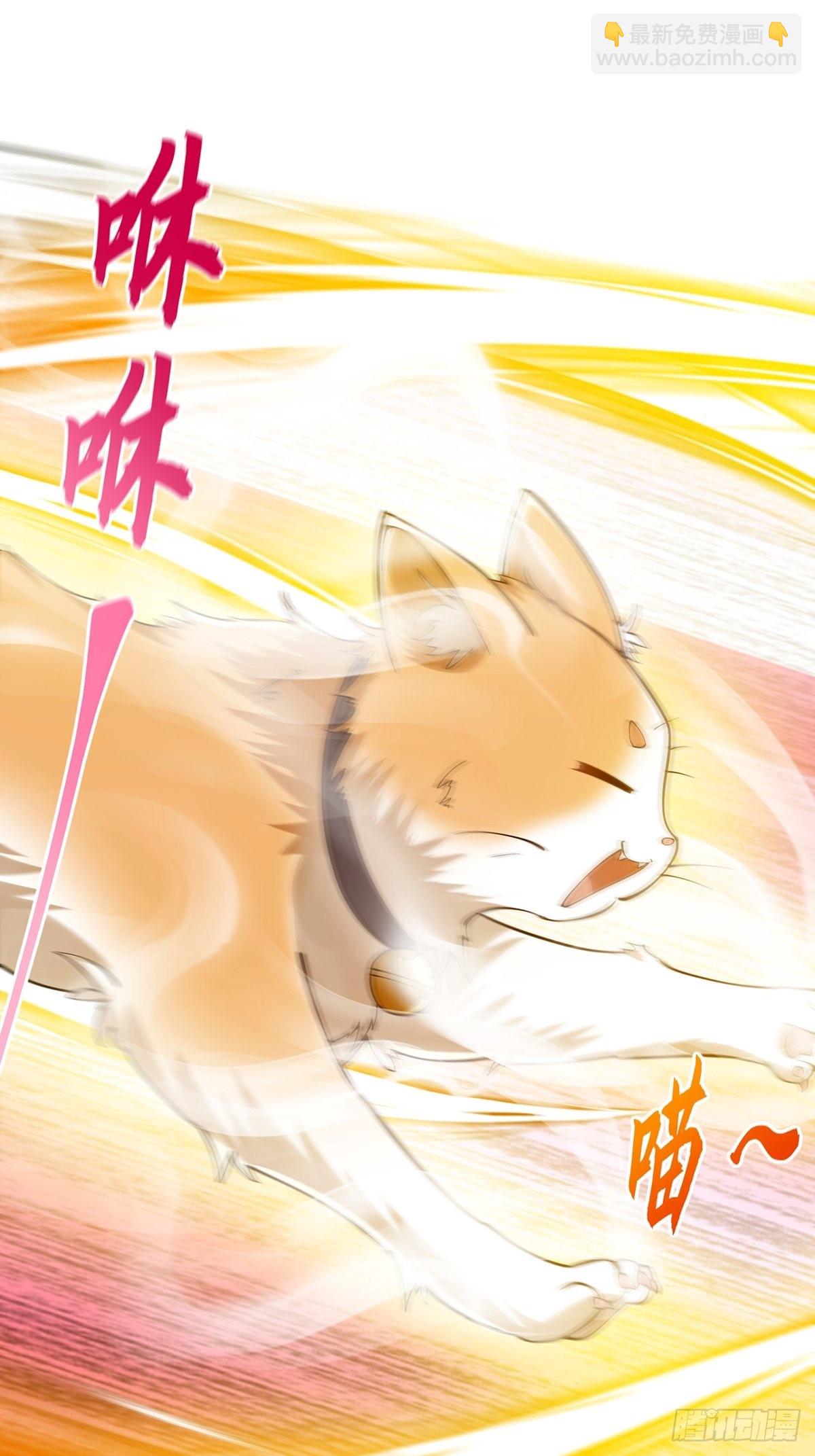 017 撸猫真的有毒(1/2)-第19话